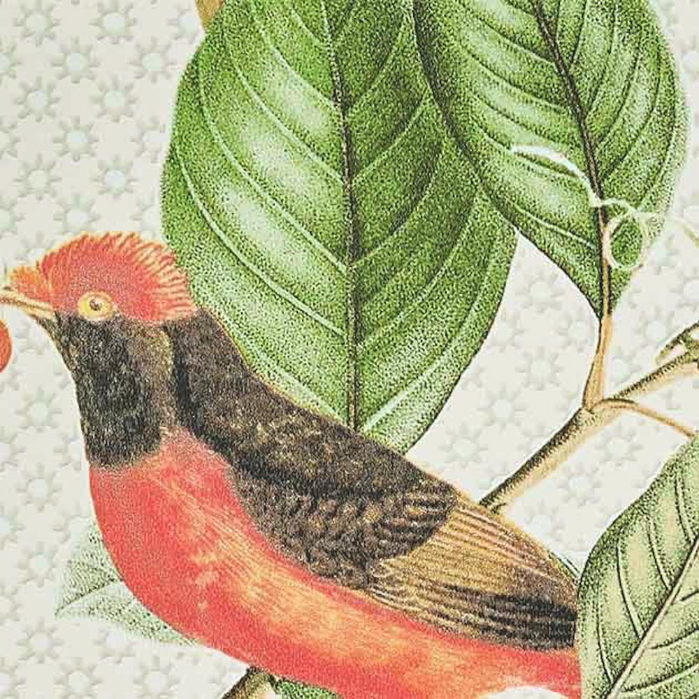 SGP-1674 壁紙 のりなし クロス / サンゲツ / エクセレクト 幅52cm×長さ10m 【1本単位】