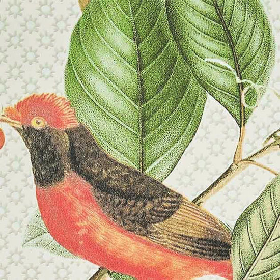 SGP-1674 壁紙 のりなし クロス / サンゲツ / エクセレクト 【サンプル】