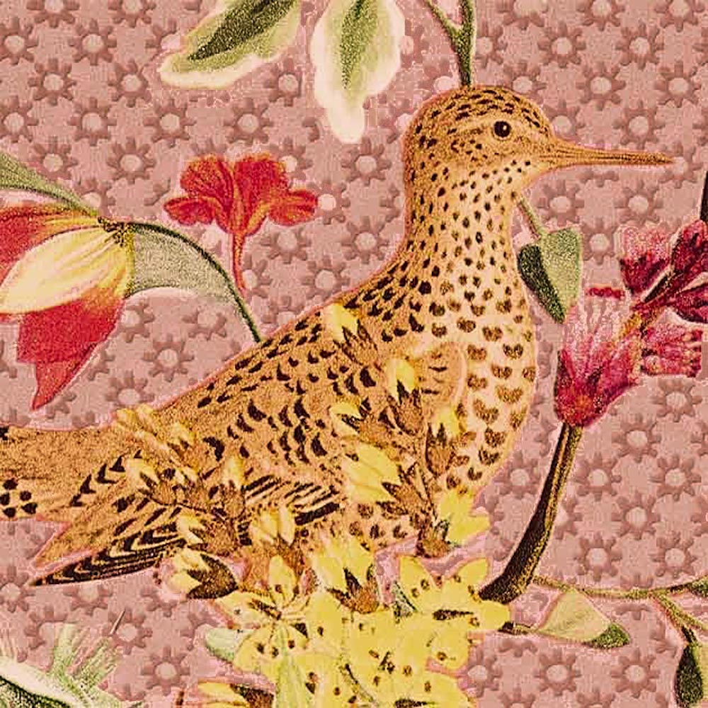 SGP-1676 壁紙 のりなし クロス / サンゲツ / エクセレクト 【サンプル】