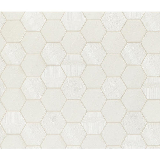 SGP1691 リピート