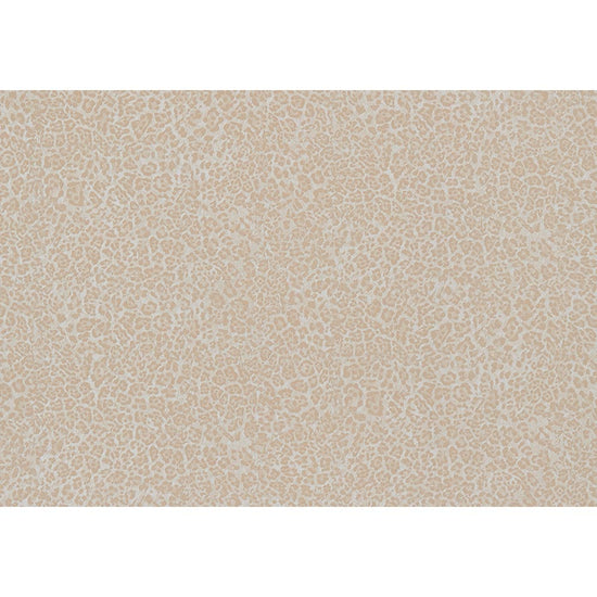 SGP1737 リピート