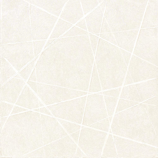 SGP1751 リピート