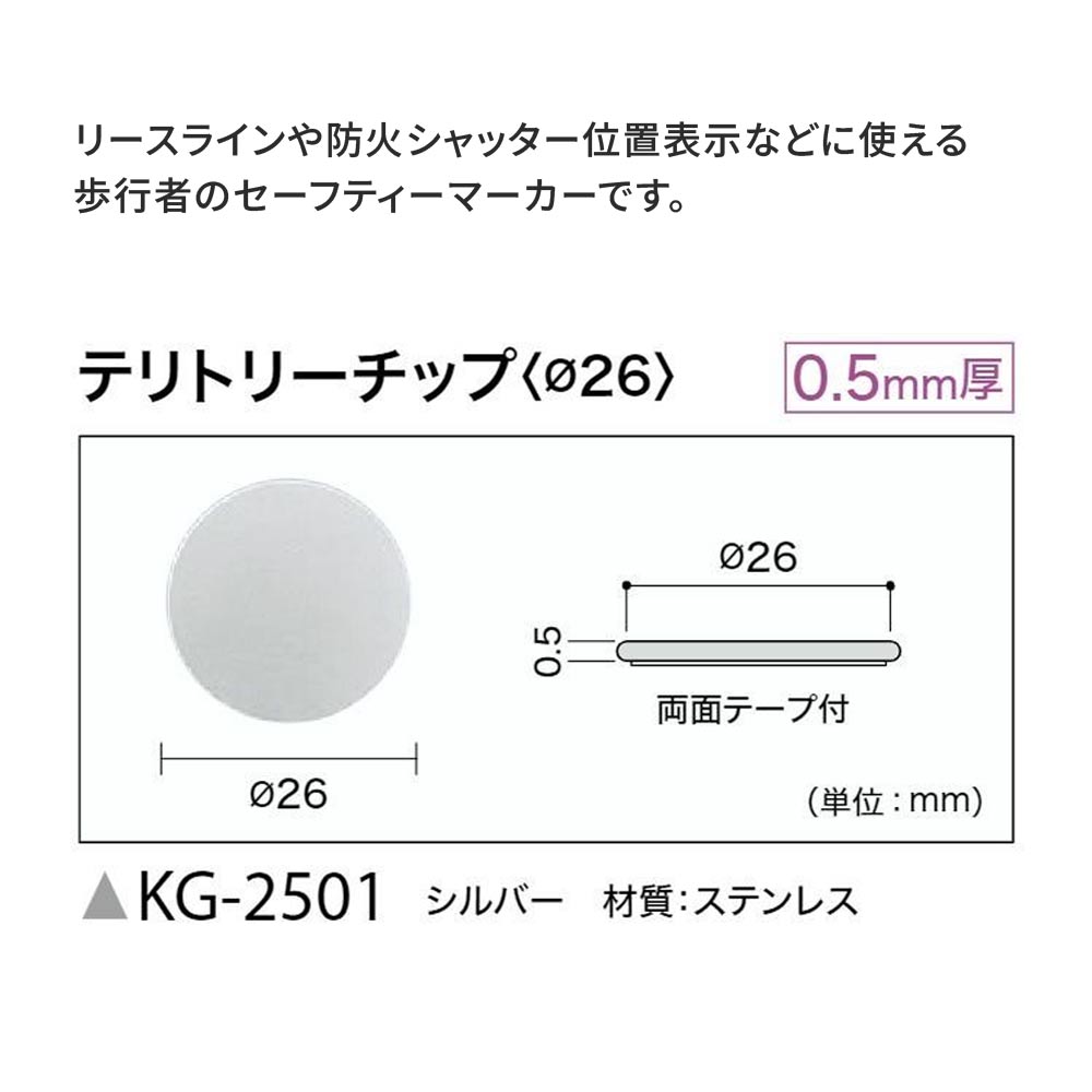 テリトリーチップとは