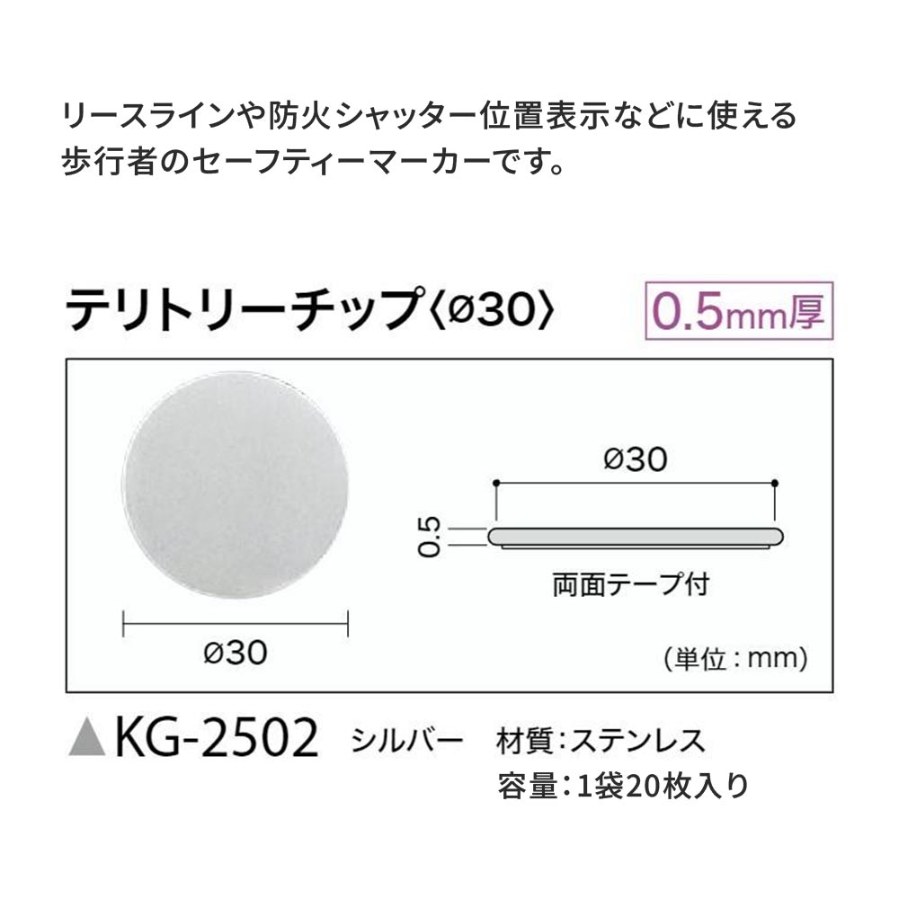 テリトリーチップとは