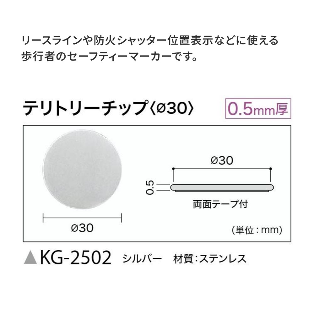 テリトリーチップとは