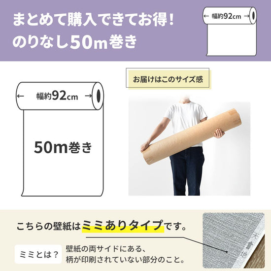 のりなし50mのサイズ感
