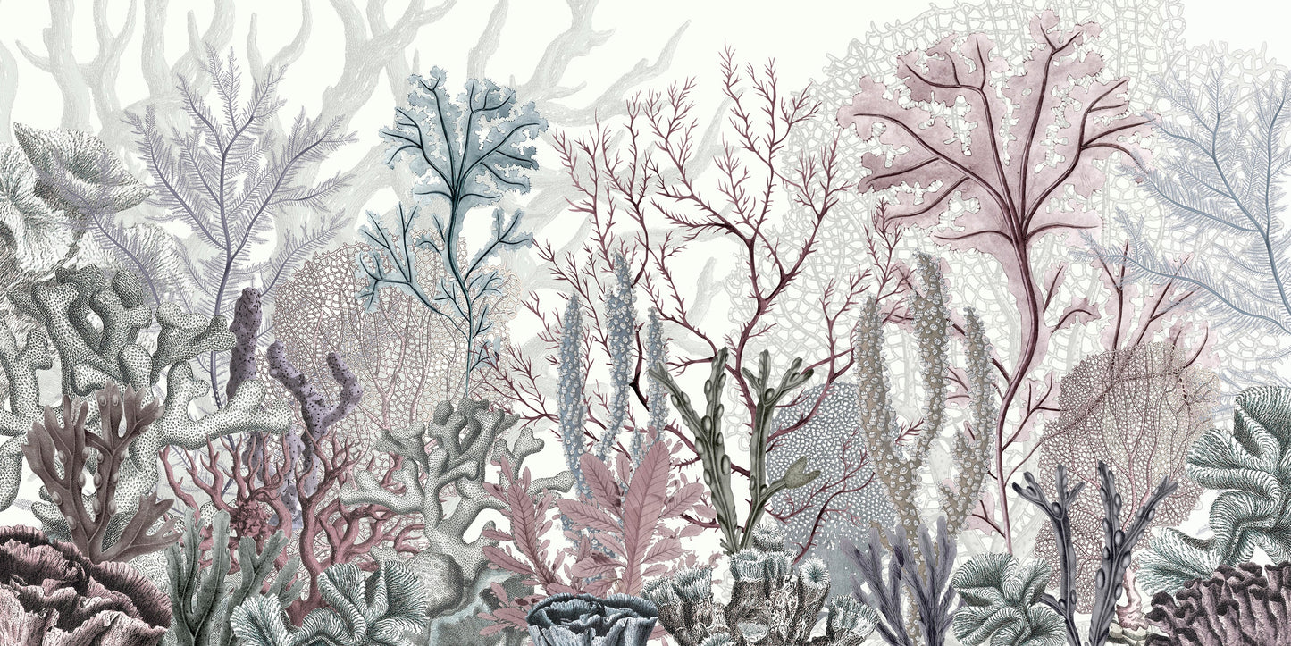 はがせるミューラル壁紙 のりなし Sir Edward Ocean Wonders W13379