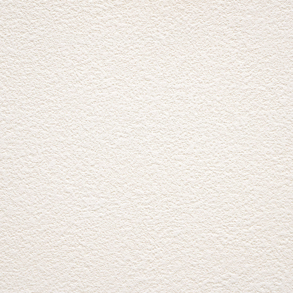 【サンプル】 お買い得 国産壁紙 クロス / サンゲツ / 白の吹き付け調 SP-2531