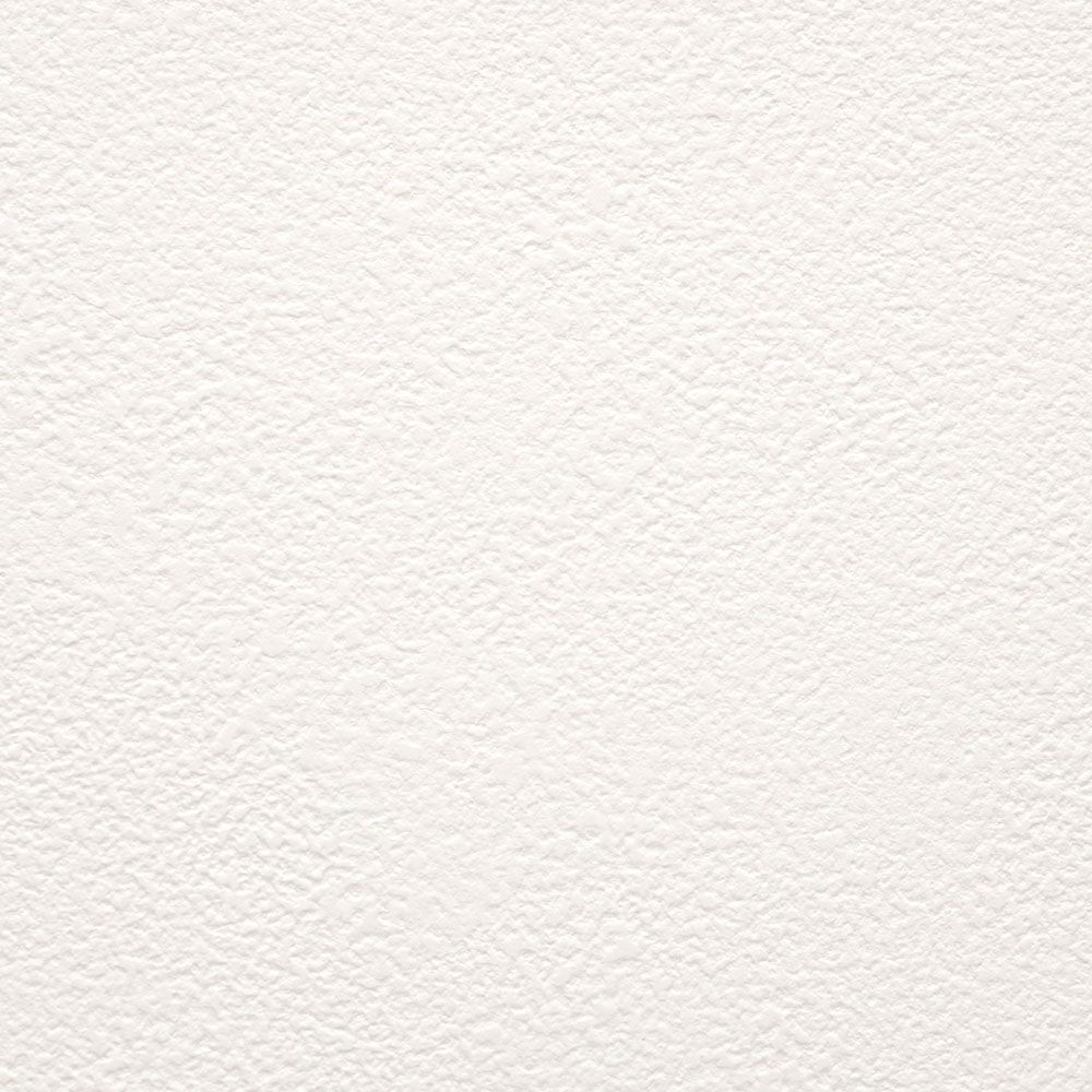 生のり付き【10m+施工道具セット】お買い得 国産壁紙 クロス / サンゲツ / 白の吹き付け調 SP-9741