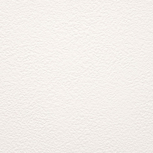 【サンプル】お買い得 国産壁紙 クロス / サンゲツ / 白の吹き付け調 SP-9741