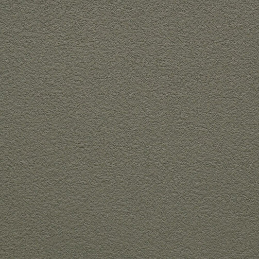 【サンプル】お買い得 国産壁紙 クロス / サンゲツ / グリーン・イエロー SP-2588