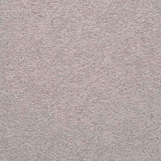 【サンプル】 天井用 国産壁紙 クロス / サンゲツ / コンクリート SP-2564H