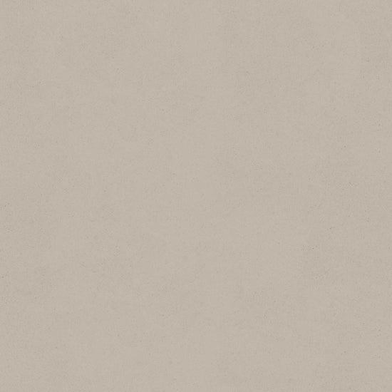 SLOW TiME チルカラー chill color a.m. TST-CC04 流木