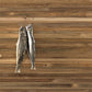 輸入壁紙 NLXL TIMBER STRIPS WALLPAPER BY PIET HEIN EEK / ピート・ヘイン・イーク TIM-05