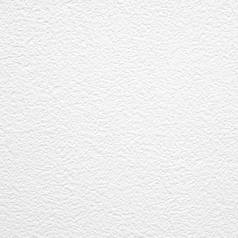 【サンプル】お買い得 国産壁紙 クロス / 東リ / 白の吹き付け調 VS-2001