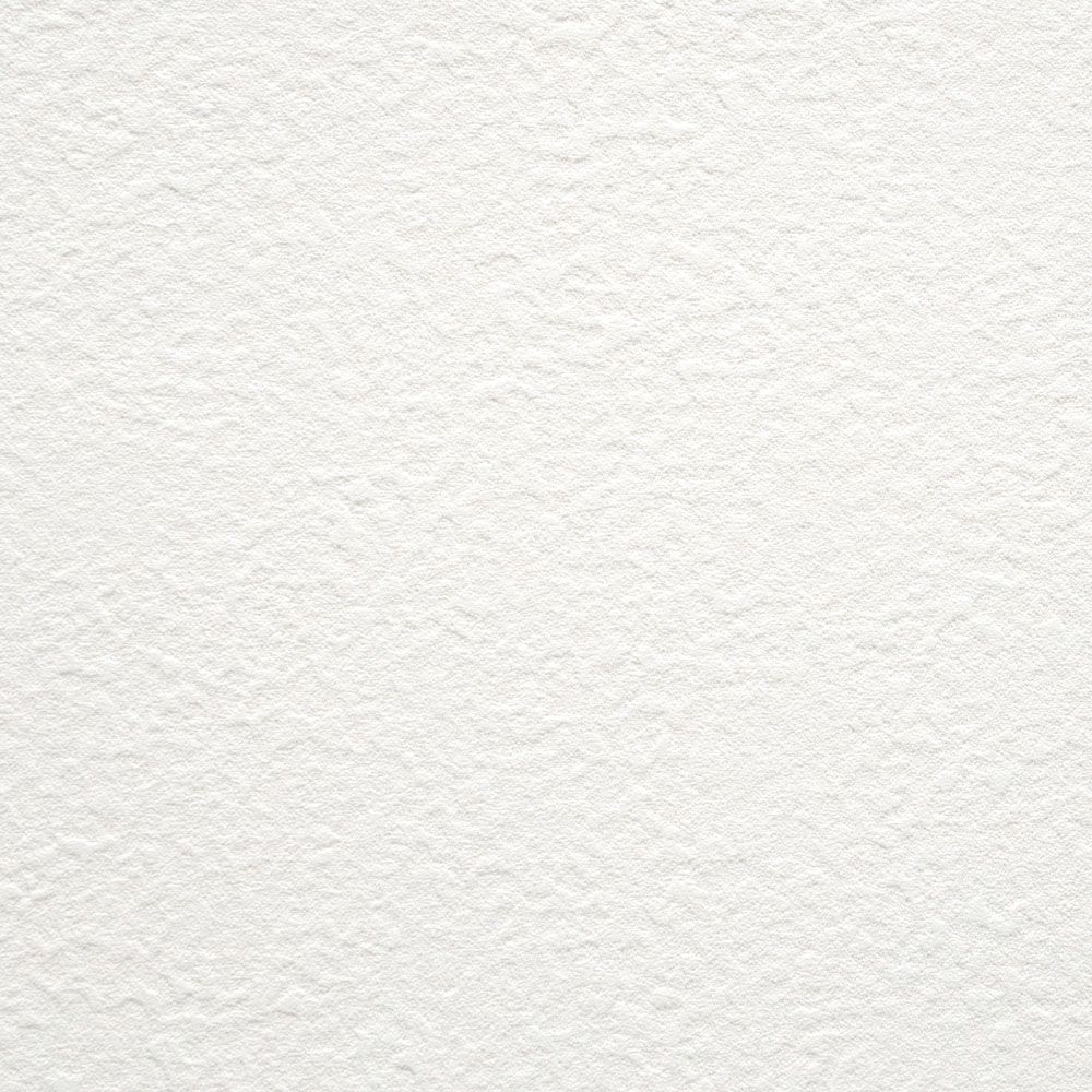 生のり付き【30m+施工道具セット】お買い得 国産壁紙 クロス / 東リ / 白の吹き付け調 VS-2024