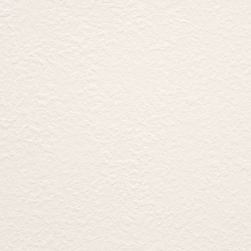 のりなし【1m単位切り売り】お買い得 国産壁紙 クロス / 東リ / 白の吹き付け調 VS-2025