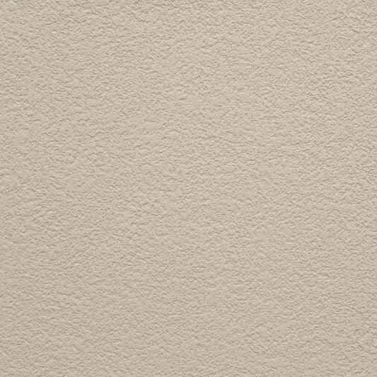 【サンプル】お買い得 国産壁紙 クロス / 東リ / コンクリート VS-2031