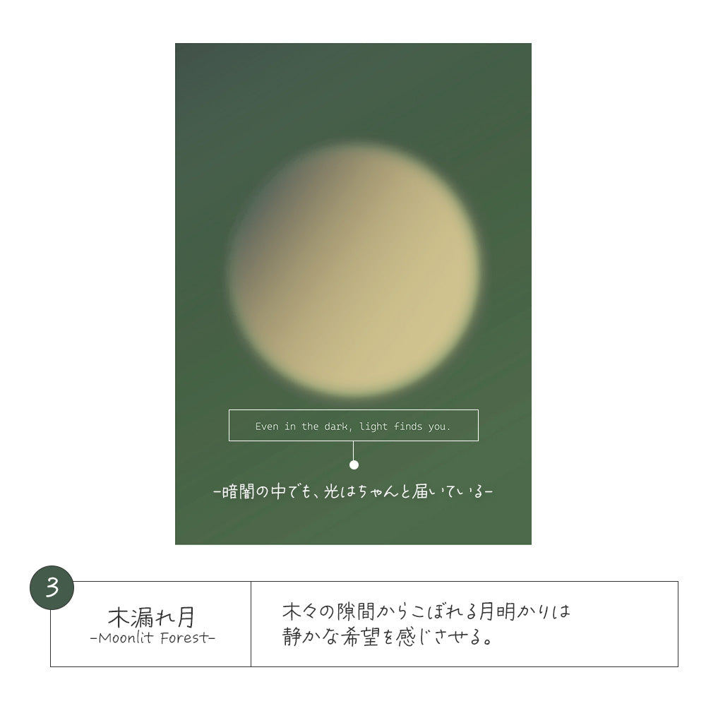 3.木漏れ月
