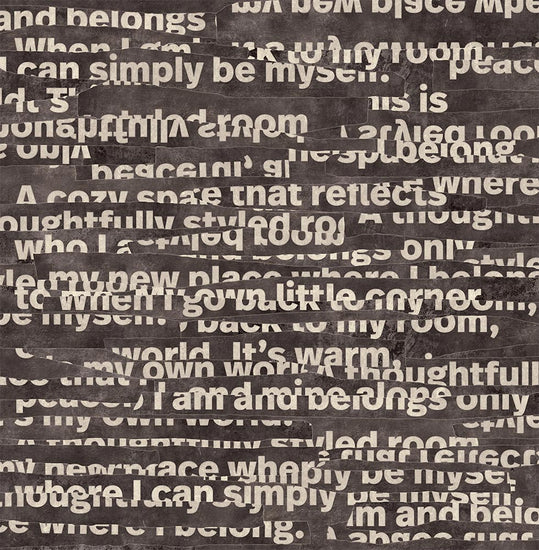 はがせるミューラル壁紙 のりなし WALLN レイヤードタイポグラフィ NKH-LT02 ブラック