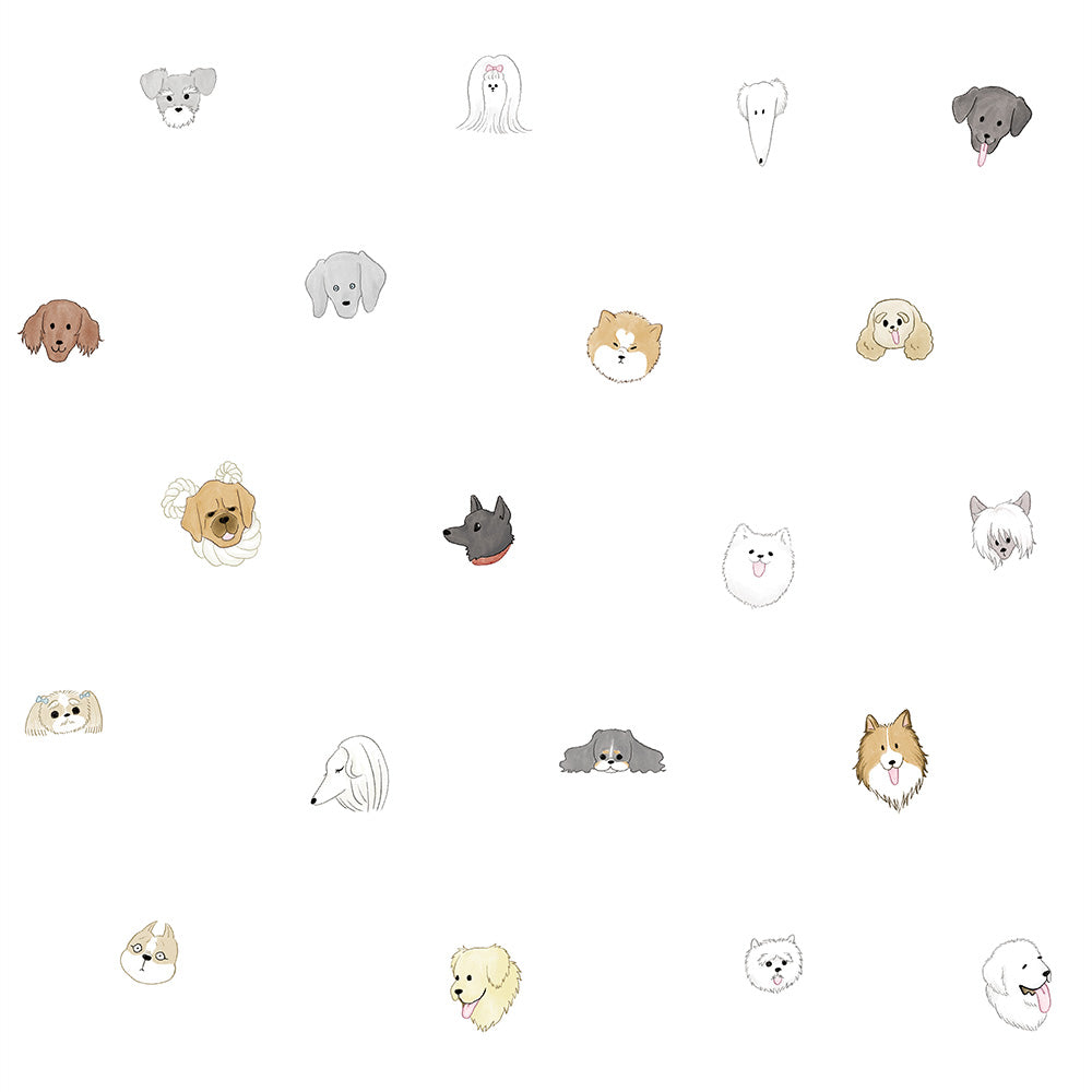 はがせる壁紙 のりなしタイプ What's poppin? Doggy’s Collection (49cm×2.5mサイズ) Faceful Friends カラー