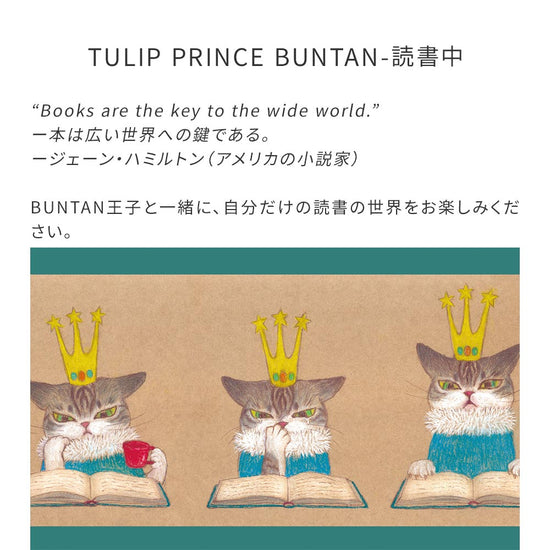 TULIP PRINCE BUNTAN-読書中