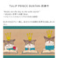 TULIP PRINCE BUNTAN-読書中