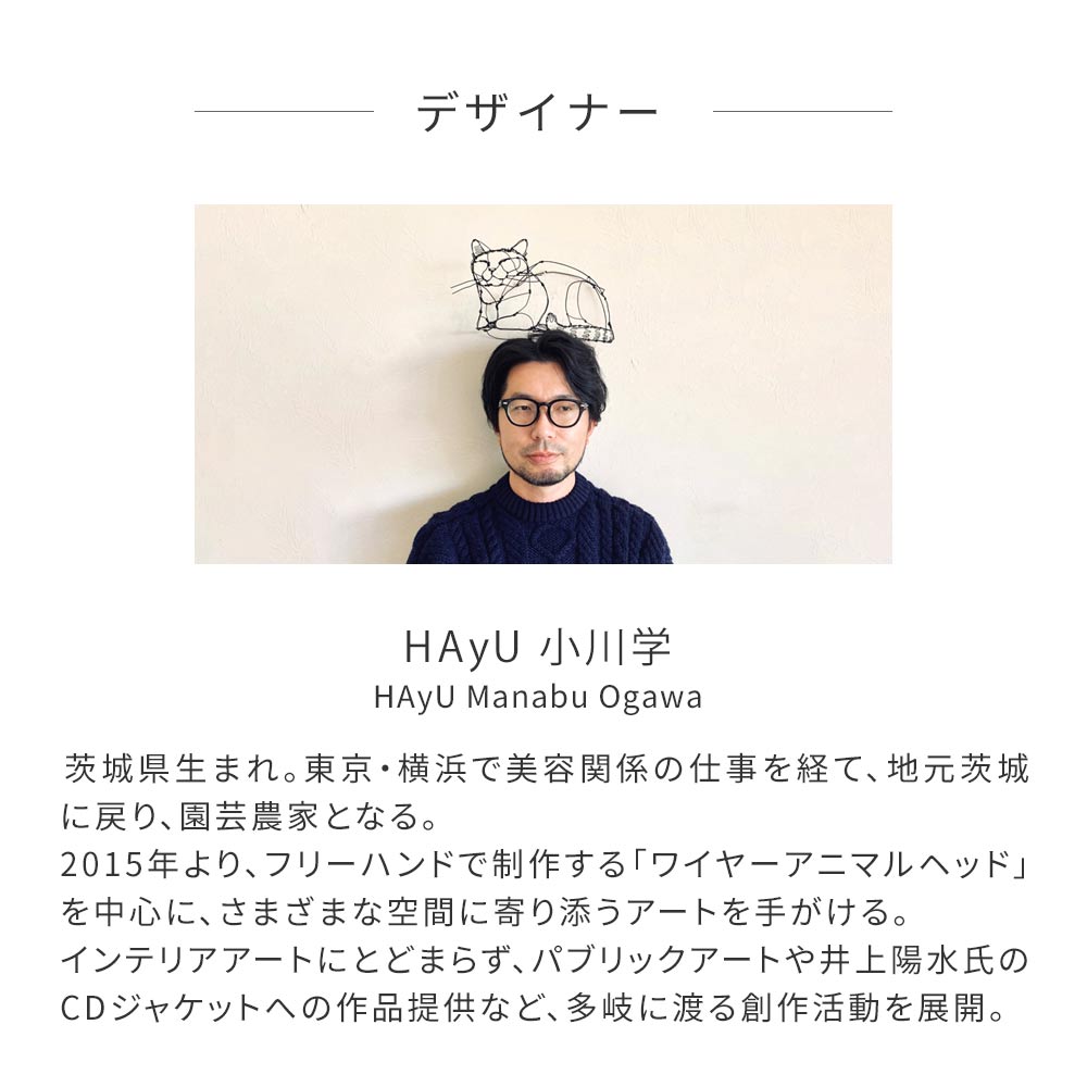 【卸専用】のりなしタイプ はがせるミューラル壁紙 WALLTZ ウォルツ HAyU 小川学 HAyU animals NWZ-HYAM