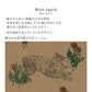 はがせる壁紙 シールタイプ WALLTZ ウォルツ ma.macaron Mon lapin モン ラパン Oak Sand TWZ-MLOS (49cm×2.7mサイズ)