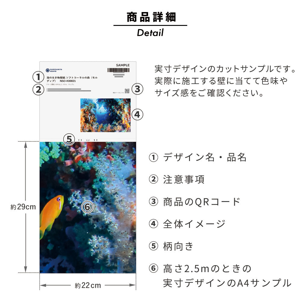 【サンプル】はがせるミューラル壁紙 のりなし 海の景色壁紙  鍵井靖章 デバスズメダイとサンゴ（沖縄石垣島） NSO-K00027