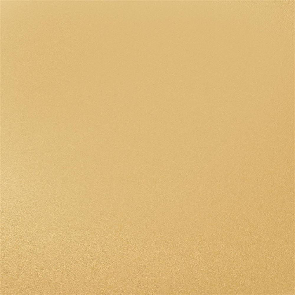 Y25-2905　俯瞰画像