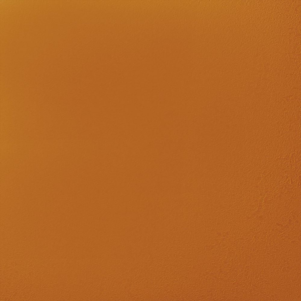 Y25-2907　俯瞰画像