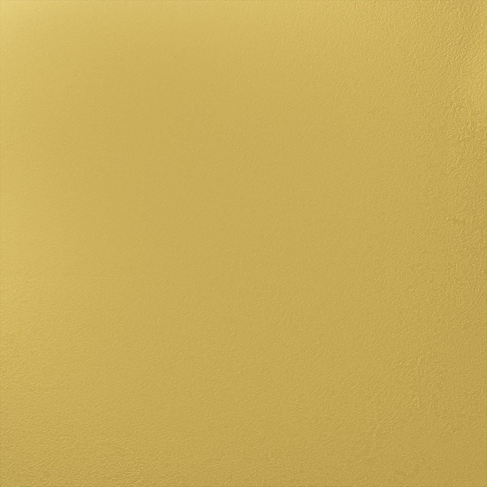 Y25-2909　俯瞰画像