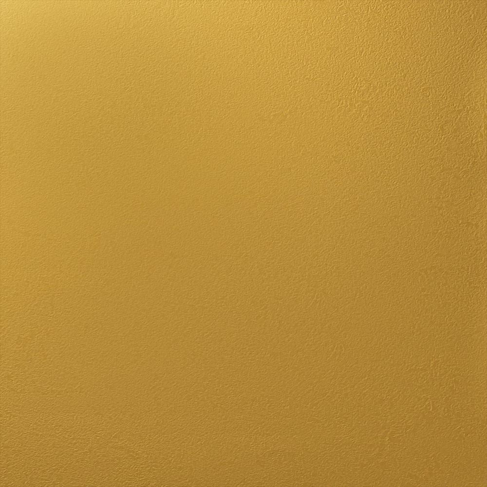 Y25-2910　俯瞰画像