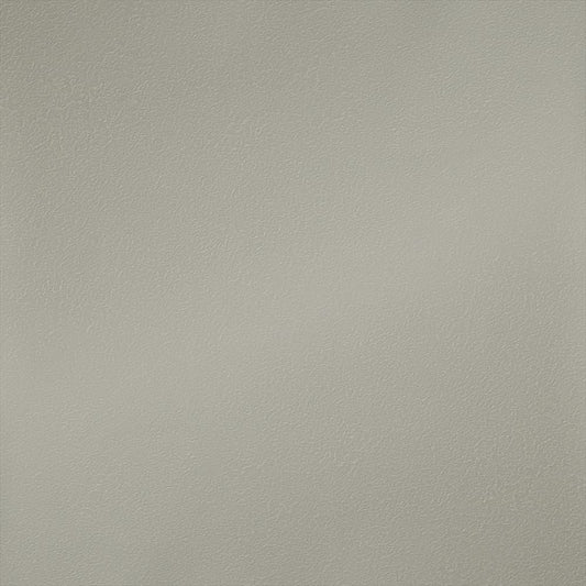 Y25-2936 壁紙 のりなし クロス / ルノン / フレッシュ グレーの無地【サンプル】