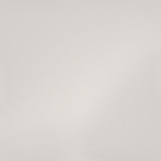 Y25-2953 壁紙 のりなし クロス / ルノン / フレッシュ グレーの無地【サンプル】