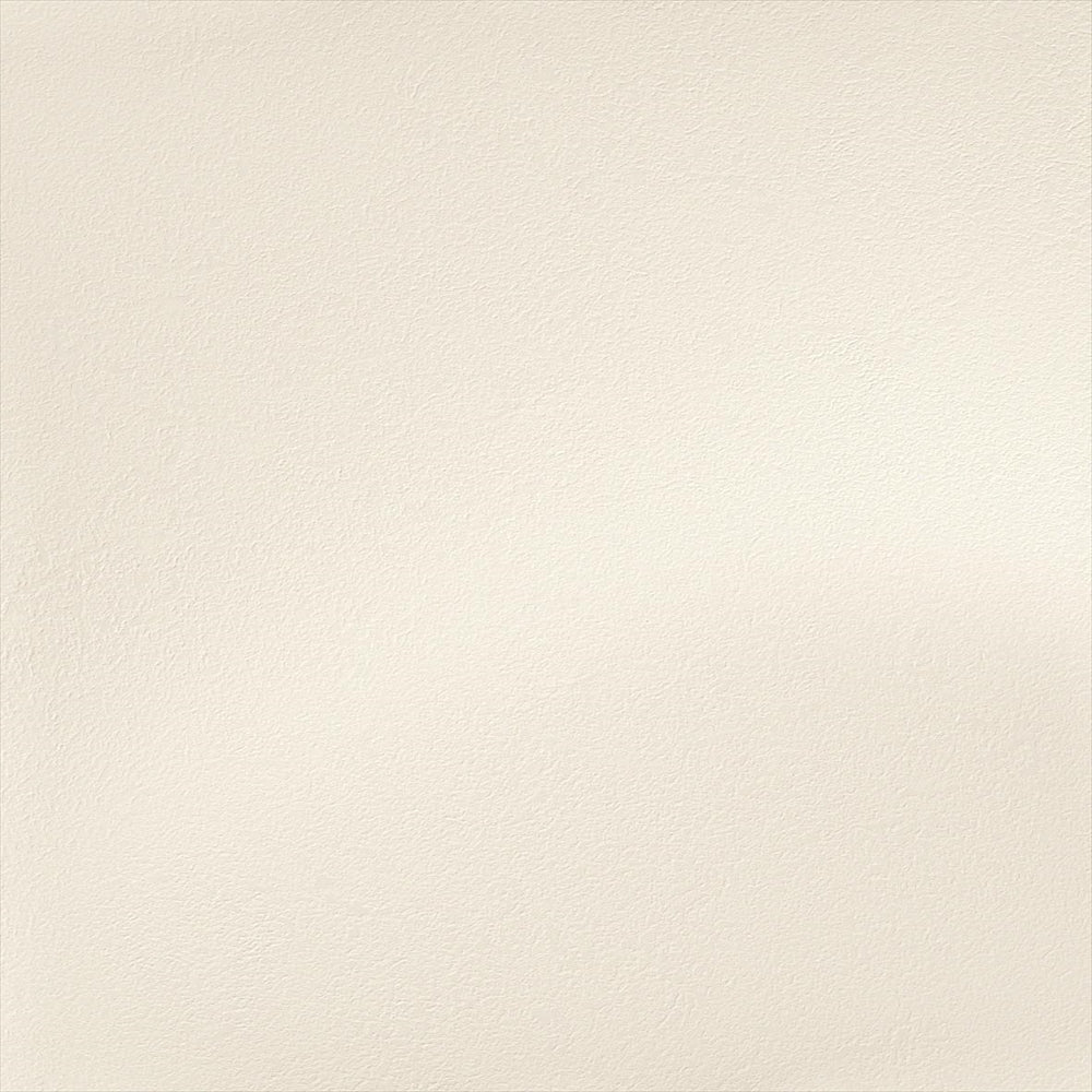 Y25-2954 壁紙 のり付き クロス / ルノン / フレッシュ グレーの無地【30m+施工道具セット】