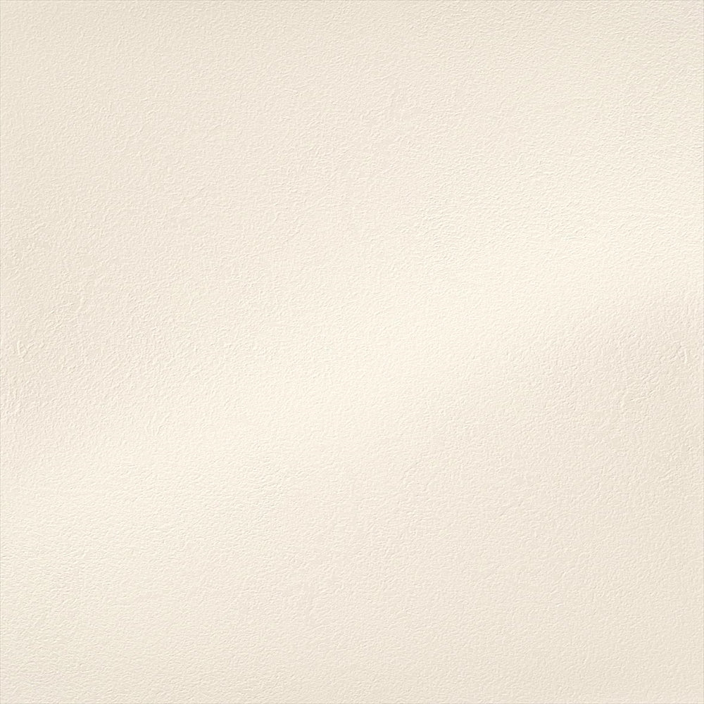 Y25-2955　俯瞰画像