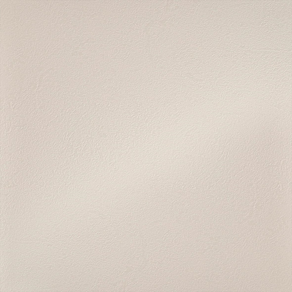 Y25-2957　俯瞰画像