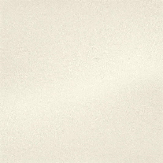 Y25-2958 壁紙 のりなし クロス / ルノン / フレッシュ ホワイトの無地【サンプル】