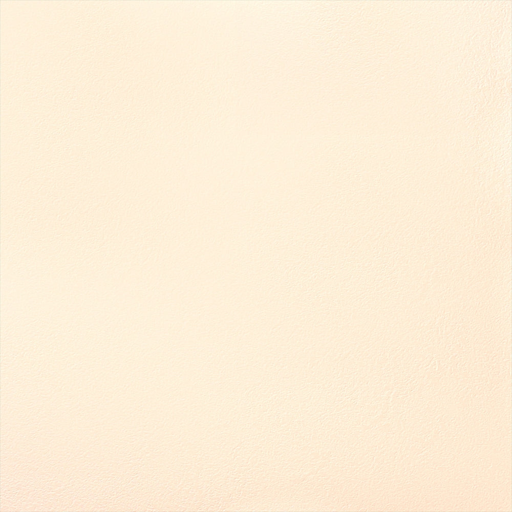 Y25-2960　俯瞰画像