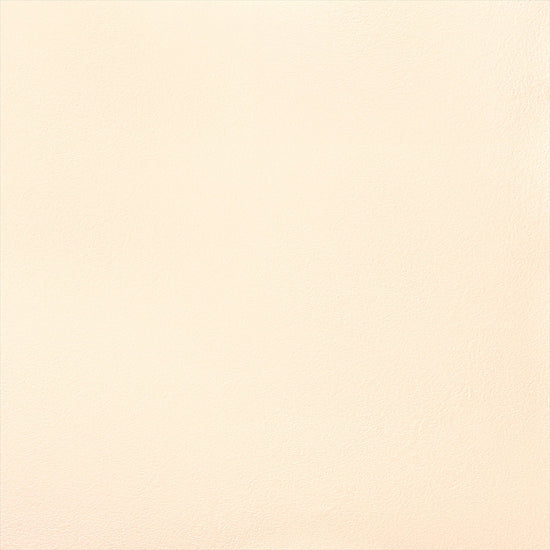 Y25-2960　俯瞰画像