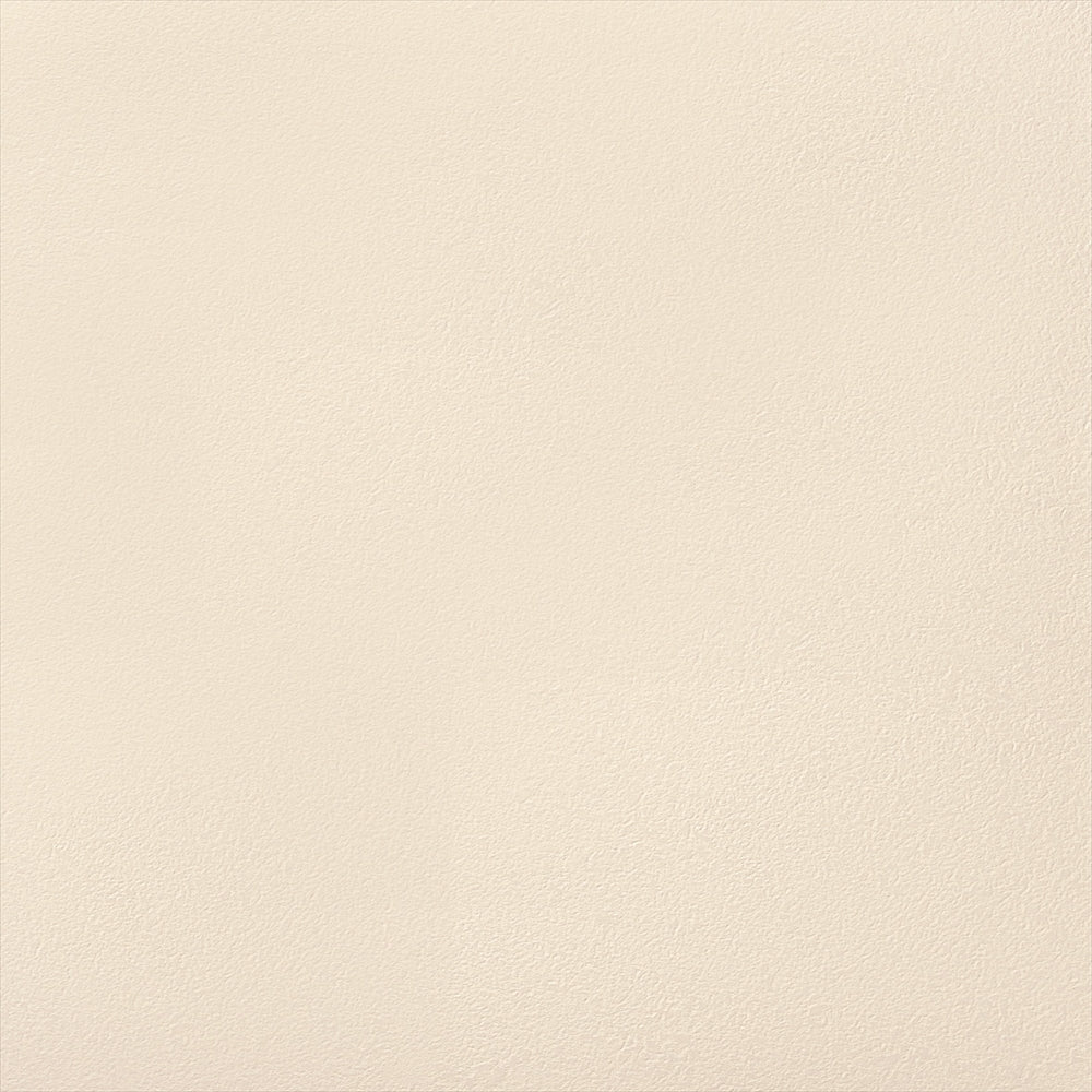 Y25-2961　俯瞰画像