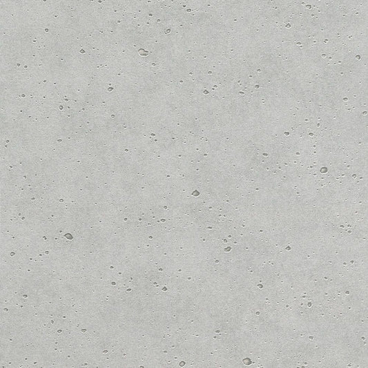 【サンプル】破れにくい壁紙 枚売り / コンクリート・塗り壁調セレクション / ストーングレー Stone gray 475210