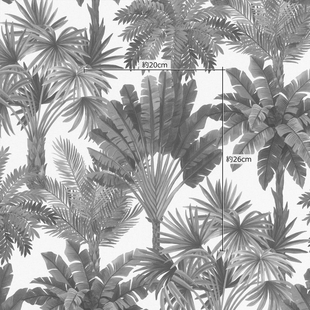 破れにくい壁紙 生のり付きタイプ / アクセント柄セレクション / ウリウリ パームズ Uliuli palms 478242