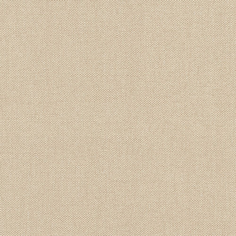 破れにくい壁紙 生のり付きタイプ / 軽量 壁・天井用セレクション / スタンダードベージュ / Standard beige 633689