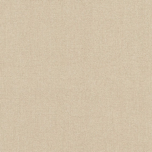 【サンプル】破れにくい壁紙 枚売り / 軽量 壁・天井用セレクション / スタンダードベージュ / Standard beige 633689