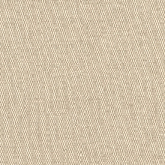 【サンプル】破れにくい壁紙 枚売り / 軽量 壁・天井用セレクション / スタンダードベージュ / Standard beige 633689