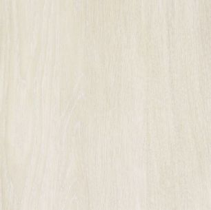 リメイクシート 強力シール壁紙 リアルな木目調 ホワイトウッド (巾122cm×10cm単位の切り売り) SRW-5046