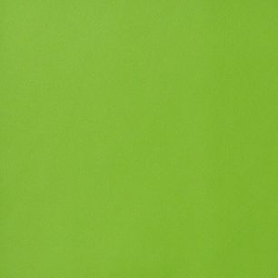 リメイクシート 強力シール壁紙 グリーン (巾122cm×10cm単位の切り売り) STA-4766